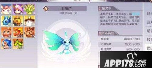 完美世界手游妖精精灵选择