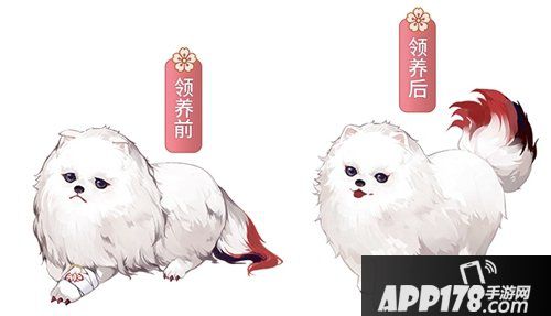 阴阳师赤雪犬领养攻略