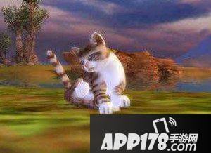 完美世界手游梅花猫熊图鉴