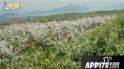 九州飞凰录线下主题活动