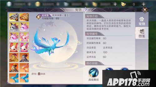 完美世界手游炽天凤凰图鉴