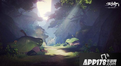 天谕手游做蘑菇