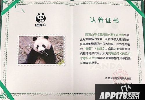 遇见逆水寒最穷熊猫cos登场