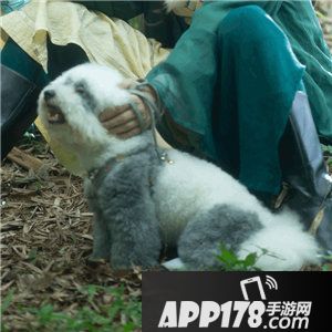 遇见逆水寒最穷熊猫cos登场