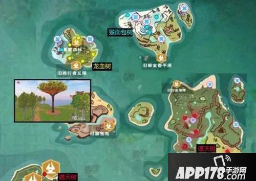 创造与魔法龙血树位置一览