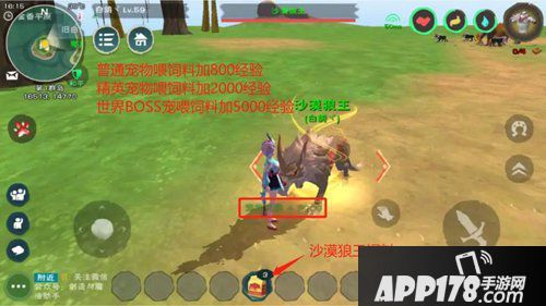 创造与魔法宠物升级攻略