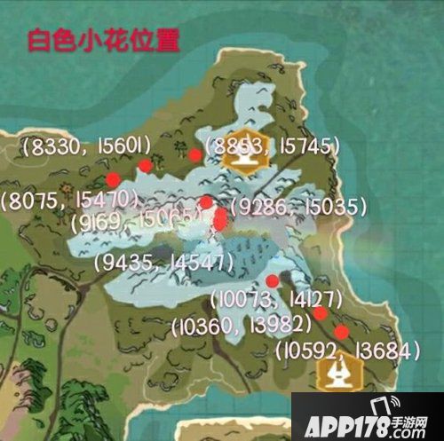 创造与魔法白色小花位置一览