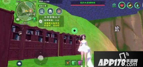 创造与魔法水上坐骑资质汇总 水上坐骑怎么样