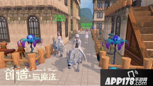 创造与魔法云斑鹦鸟获得攻略