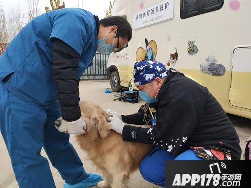 跨次元守护流浪动物 《阴阳师》医疗领养公益救助车开启
