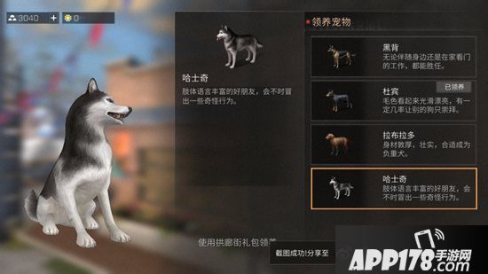 明日之后宠物性格养成攻略 宠物性格哪个好
