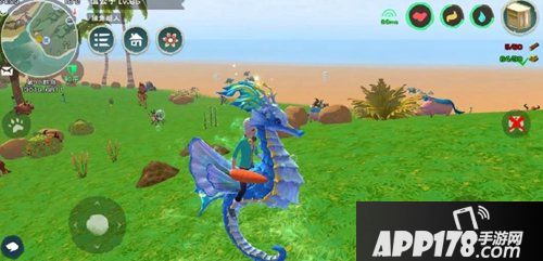 创造与魔法碧波海马一览 碧波海什么样