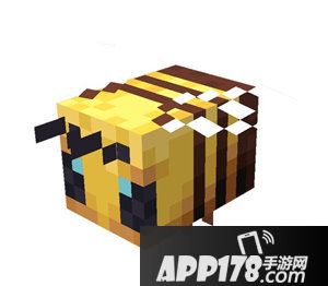 我的世界2019开发者大会圆满收官