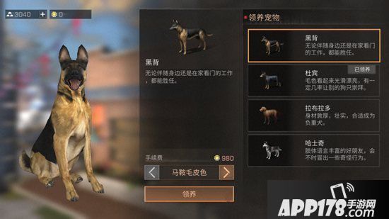 明日之后宠物性格养成攻略 宠物性格哪个好