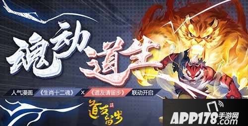 道友请留步生肖十二魂联动重磅来袭