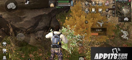 明日之后图鉴收集功能详解 图鉴收集在哪