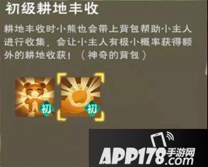 创造与魔法抱抱熊技能详情 抱抱熊都有什么技能