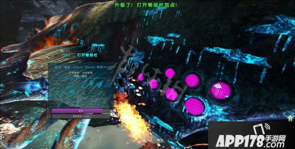 《方舟生存进化》创世纪月鲸怎么抓 鲲抓法介绍