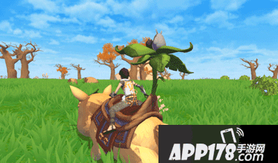 创造与魔法阳光龙猫坐骑怎么样 阳光龙猫坐骑爆料