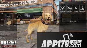 《明日之后》忠犬版本怎么样 忠犬版本更新内容一览