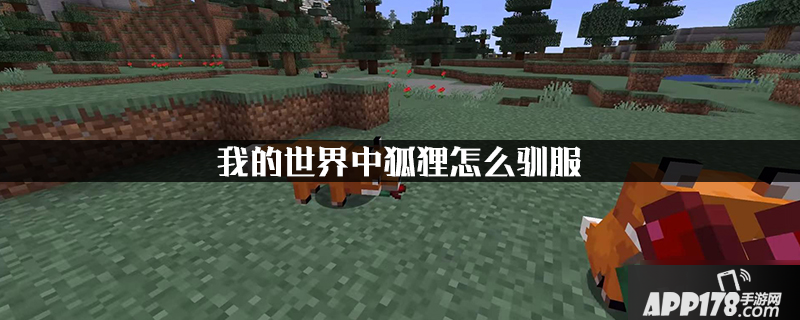 《我的世界》狐狸怎么驯服 狐狸驯服方法一览