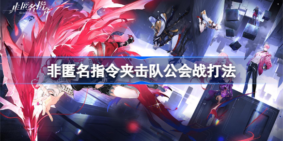 非匿名指令夹击队公会战打法~非匿名指令