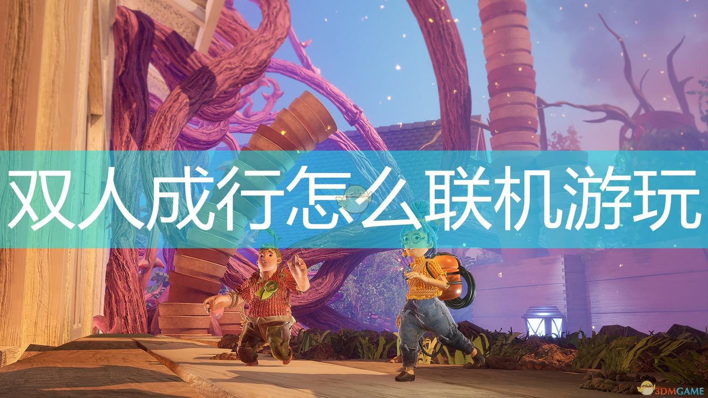 适合双人联机的游戏（耐玩的双人联机单机游戏有哪些）