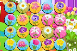 什么是花的游戏（花的游戏有哪些）