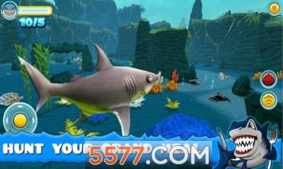 大鲨鱼的游戏（耐玩有趣的鲨鱼的游戏有哪些）