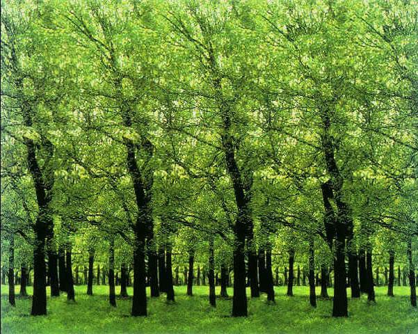 2020年联机游戏（2023高人气能联机的游戏手游有哪些）