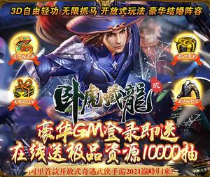 卧虎藏龙贰礼包码(卧虎藏龙贰公益服)