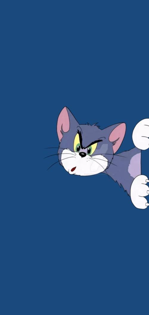 可爱小猫游戏（2023可爱的猫游戏有哪些）