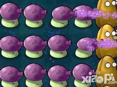 植物大战僵尸全明星喷菇