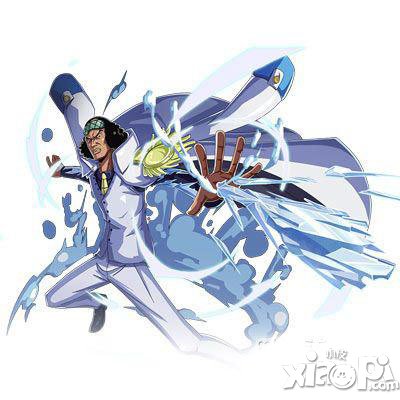 航海王启航青雉